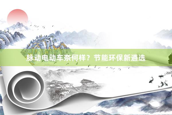 脉动电动车奈何样？节能环保新遴选